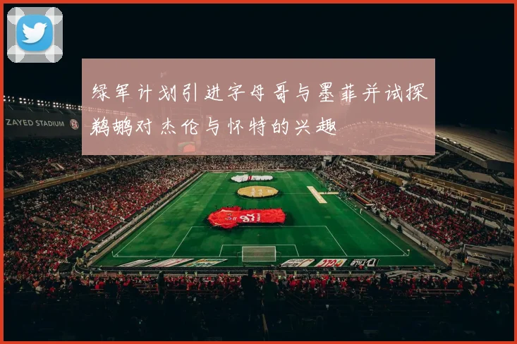 绿军计划引进字母哥与墨菲并试探鹈鹕对杰伦与怀特的兴趣