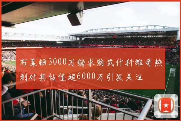 布莱顿3000万镑求购武什科维奇热刺对其估值超6000万引发关注
