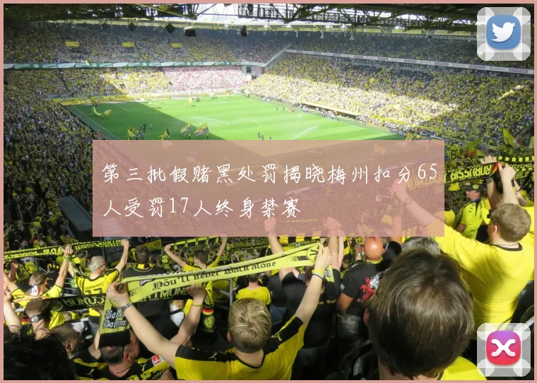 第三批假赌黑处罚揭晓梅州扣分65人受罚17人终身禁赛