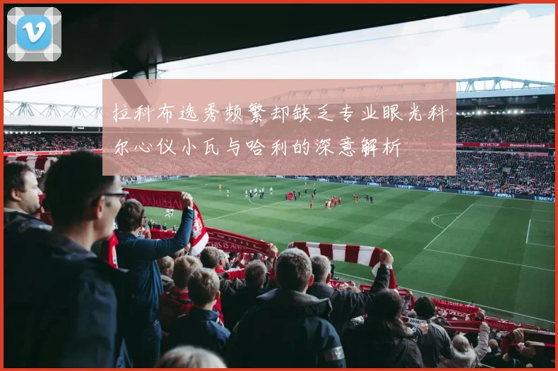拉科布选秀频繁却缺乏专业眼光科尔心仪小瓦与哈利的深意解析